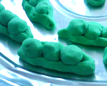 Educating CHildren|Preschool|Art|growing|Pea Pod Salt Dough