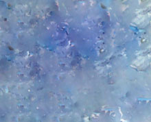 Educating CHildren|Preschool|Art|Water|Create an Ocean